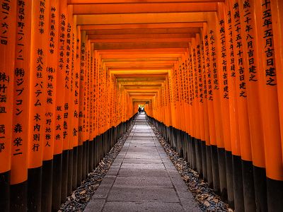 【京彩關西∼京都連泊和服體驗5日】世界遺產清水寺伏見稻荷大社嵐山渡月橋竹林步道宇治平等院伊勢龍蝦.黑毛和牛