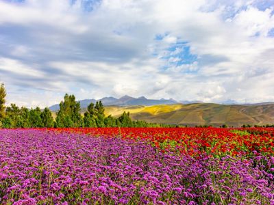 ¡i¾y¤O¥_æ¬ï¶V¤Ñ¤s¡j³Ø¯Ç´µ¥Ý¤ì§ø¤Úµ¥¬¾|§J¤Ñ¤s³Ó§QÀG¹D¤å¤Æ¥æ¬y¦Ò¹î13¤é(®ü«n¯èªÅ)