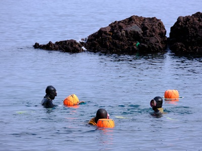 【安妞陽光濟州五日不進人蔘+保肝】升等五星神話酒店|神話主題樂園|牛島出海|四季賞花|歐式森林小火車